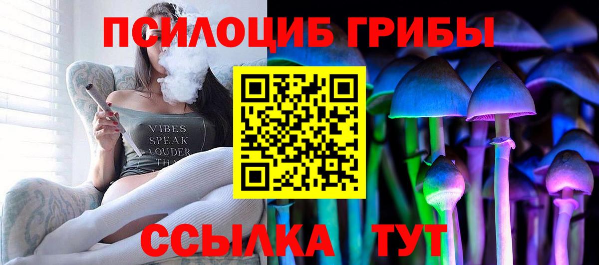 Галлюциногенные грибы Cubensis Омск